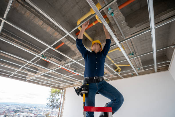 Best Clogged Drain Plumber  in Upper Sandusky, OH